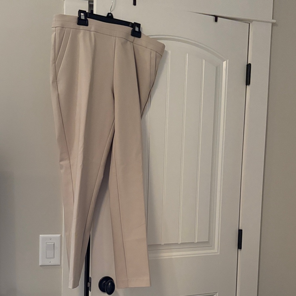 Counterparts Beige Dress Pants